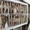 Chinese Frozen Three Spotted Crab