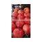 Fresh pomegranate fruits for sale