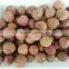 BRC,KOSHER,HALAL IQF fruits