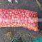 Red Onion ( Red - Yellow - White - spring onion ) For Sale