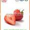 A13 15-25 mm Best quality Whole Fresh Strawberry