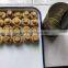 Good Quality Canning Wild Mushrooms