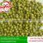 green peas brand canned green peas OEM green peas