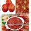 Bulk Tomato Paset in Canned Good Price High Quality