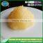 Export garlic paste to international market with best price