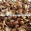 Automatic Almond Peeling Machine/Almond Processing Line prices
