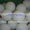 plastic injection UHMW-PE plastic ball