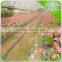 Plastic tape for garden watering & irrigation system