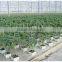 Vertical greenhouse growing system