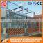 Agriculture farming Multifunction high quality Venlo glass greenhouse