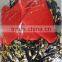 halloween vampire cape pumpkin witch skull cape