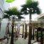 GNW APM023 Wholesale Cheapest Indoor And Outdoor Fack Decoration Palm Tree