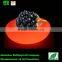 PE plastic light up led fruit plate /colorful led fruit plate with CE ROHS approved