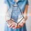 Stretched Dodecahedron 3 sizes Geometric Fruit Glass Terrarium