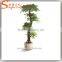Artificial Japanese Fruticosa Tree indoor plant for home decorated
