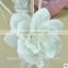 Lotus Shape Sola Flower Aroma Diffuser with reed or cotton rope