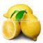 NATURAL DREID LEMON POWDER