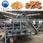 almond hazelnut cracking shelling machine hazelnut processing machines