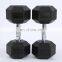 Free Weights Fitness Dumbbell Hex Adjustable Dumbbell Logo Pro Style Dumbbell  Set Hexagonal