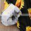 Fashion Girl Sunflower clothing kids Outfits Sets Summer Toddler Baby Clothes
