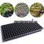 Plastic Seedling tray blister forming machine / Seed tray blister making machine