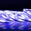 Factory Supply decoration lights digital rgb LED neon flex light strip