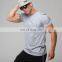 men's standard fit short sleeve 60% Cotton 40% Polyester  Muscle Fit Seamless Blank Quick Dry Plain Dyed Hot Basic Men T-shirts