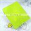 New Lime Lemon Gift Green Card Paper Shopping Carrier Bag Light Green
