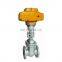 1Inch Cast Iron Two Ways ANSI Flange AC220V Multi Turn Gate Valve