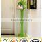Wooden Furniture bedroom clothes tree hanger /colored clothes hanger stand