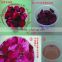 Wholesale Chinese fragrance scented flower tea anti-aging and smooth skin bath tea dried red rose petals flowers herb tea