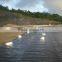 1-8 meter width 80mil hdpe geomembrane/geomembrane hdpe/geomembrane with factory price
