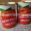 Fresh canned tomato paste with good quality and best price