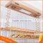 Electric automatic air vented home clothes dryer stand