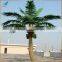 Artificial bend coconut tree