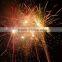 Economic hot-sale shipping fireworks