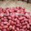 Red skin peanut kernels with good quality for sale
