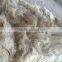 Coconut Fiber High Quality _ QQ : 2290755420