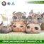 QQ Pet Factory Wholesale Cute Soft Cat Face Cushions Pillow Home Decor Pillow