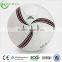 Zhensheng Train Soccer Ball Futbol