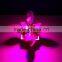 Par20 Led Grow Light E27 12w Led Plant Bulb for Growing