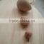 china suppliers FSC&ISO9001 factory price wall hanging fancy OAK wooden clothes hook