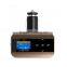usb car mp3 player with remote controller