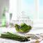 Clear glass multi-purpose glass storage bottle storage jar with spoon lid 350ml QM025