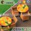 outdoor popular recycled pine Solid timber HDPE deck wood composite