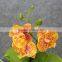 Artificial Potted Orchids