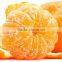 Chinese honey fresh mandarin orange