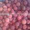 Fresh IQF mixed berries