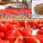 organic Goji(wolf berry) extract powder