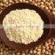 Isolated Soy protein